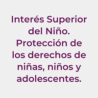 Interés superior del niño. Protección de los derechos de las niñas, niños y adolescentes.